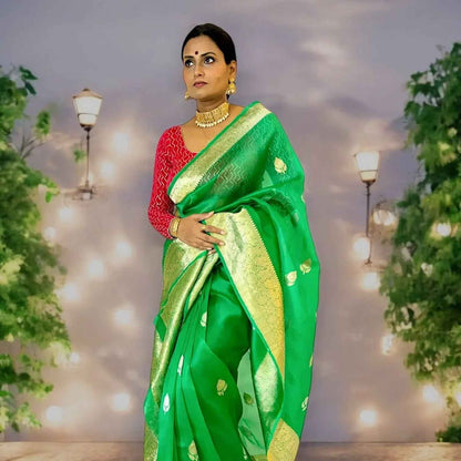 Pure Kora Organza silk Handloom Banarasi saree