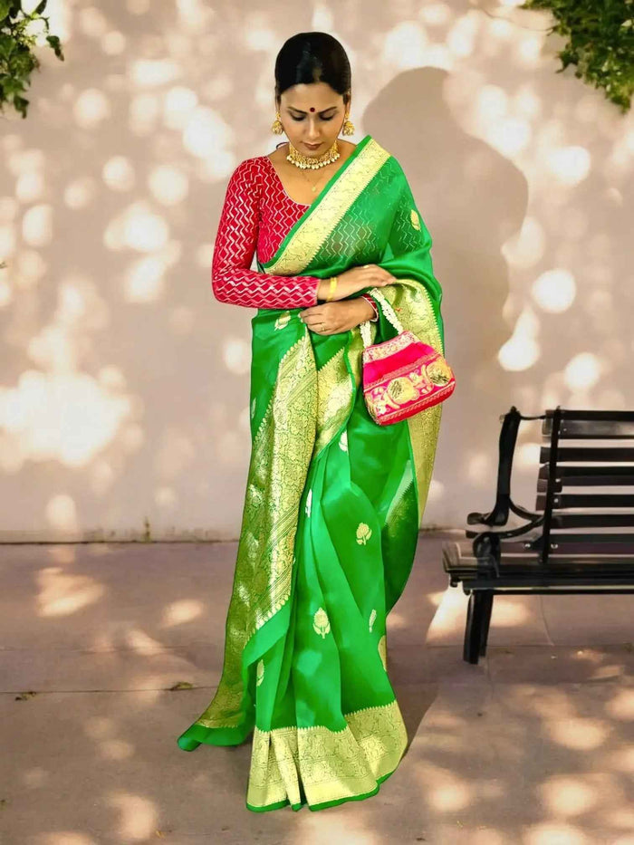 Amrapali Organza silk Banarasi handloom saree